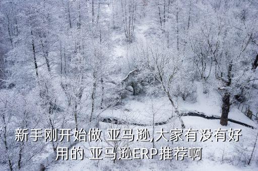 亞馬遜物料自動化,如果是亞馬遜我覺得吉佳erp還可以