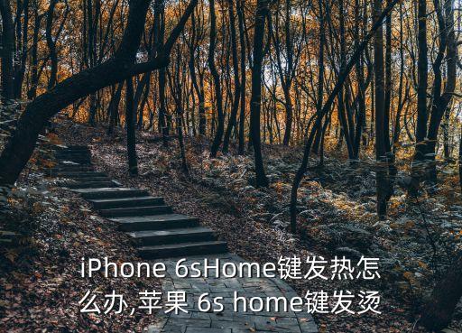 iPhone 6sHome鍵發(fā)熱怎么辦,蘋果 6s home鍵發(fā)燙