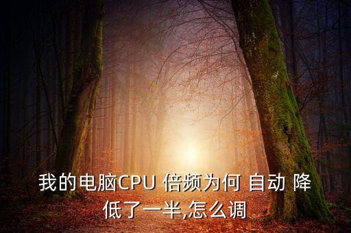 我的電腦CPU 倍頻為何 自動 降低了一半,怎么調(diào)