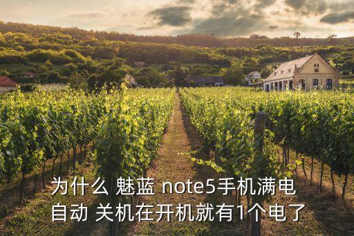 魅藍(lán)note5突然自動(dòng)關(guān)機(jī),手機(jī)充電時(shí)要注意什么?