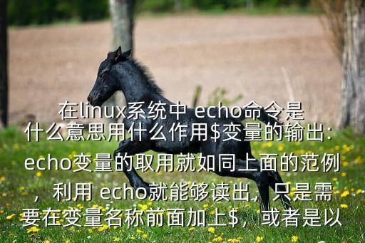 為什么echo會自動停,這些echo怎么用?