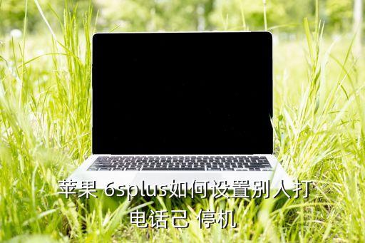  蘋(píng)果 6splus如何設(shè)置別人打電話己 停機(jī)