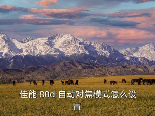 佳能80d自動擋,佳能80d自動對焦模式設(shè)置有哪些功能?