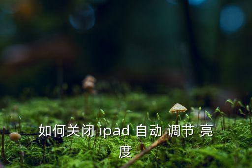 如何關(guān)閉 ipad 自動(dòng) 調(diào)節(jié) 亮度