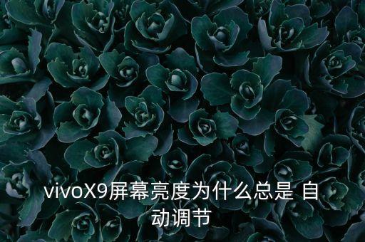 vivox9s自動亮屏,vivox9自動亮度調(diào)低屏幕亮度