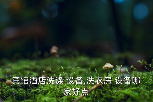 全自動(dòng)洗澡房設(shè)備,川島設(shè)備洗衣房設(shè)備工廠生產(chǎn)洗衣機(jī)等設(shè)備