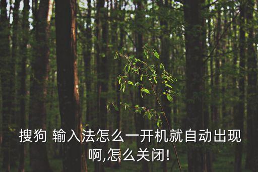  搜狗 輸入法怎么一開機就自動出現(xiàn)啊,怎么關(guān)閉!