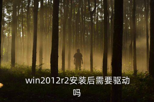  win2012r2安裝后需要驅(qū)動嗎