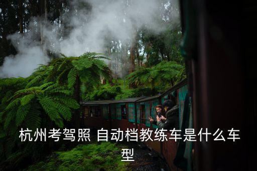  杭州考駕照 自動(dòng)檔教練車(chē)是什么車(chē)型