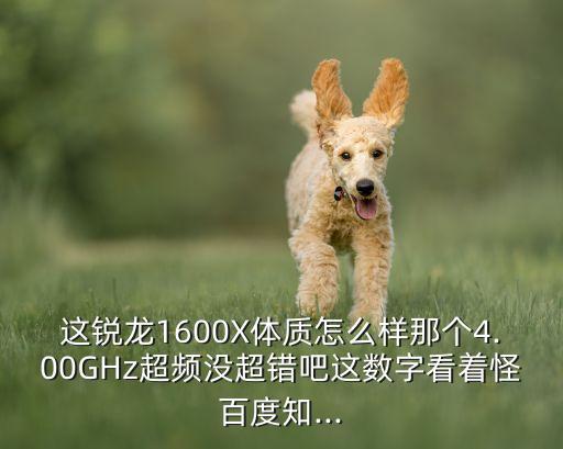 1600x自動(dòng) 超,睿源睿頻3.4倍頻或4.0倍頻!