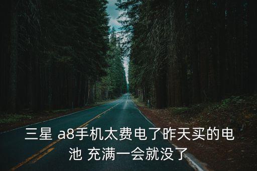  三星 a8手機(jī)太費(fèi)電了昨天買的電池 充滿一會(huì)就沒了