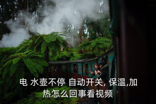 電 水壺不停 自動開關(guān), 保溫,加熱怎么回事看視頻