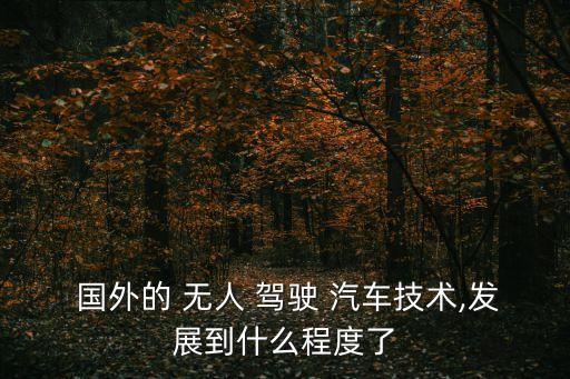 國(guó)外自動(dòng)無(wú)人駕駛汽車,無(wú)人駕駛汽車可提高城市交通系統(tǒng)效率