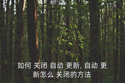 如何 關(guān)閉 自動(dòng) 更新, 自動(dòng) 更新怎么 關(guān)閉的方法