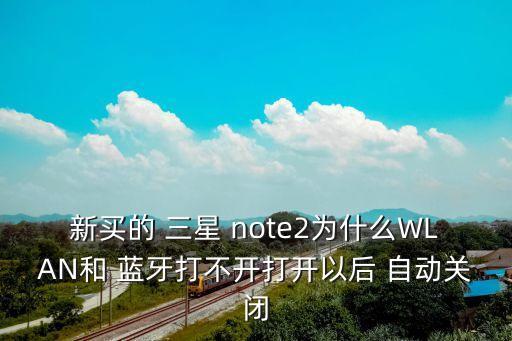 新買(mǎi)的 三星 note2為什么WLAN和 藍(lán)牙打不開(kāi)打開(kāi)以后 自動(dòng)關(guān)閉