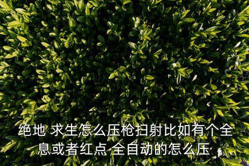絕地求生全自動壓不住,acog可變倍放大倍數(shù)練射擊難度降低