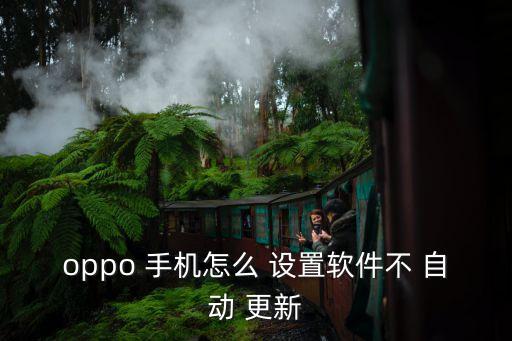 oppo 手機(jī)怎么 設(shè)置軟件不 自動 更新