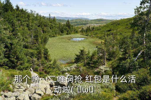 自動(dòng)掃二維碼秒搶紅包,掃碼搶紅包!還有這些好玩的!
