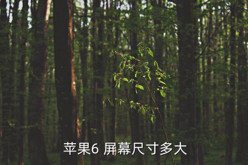  蘋果6 屏幕尺寸多大