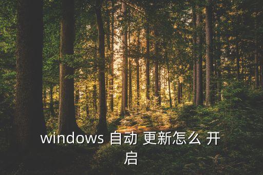 windows 自動(dòng) 更新怎么 開(kāi)啟