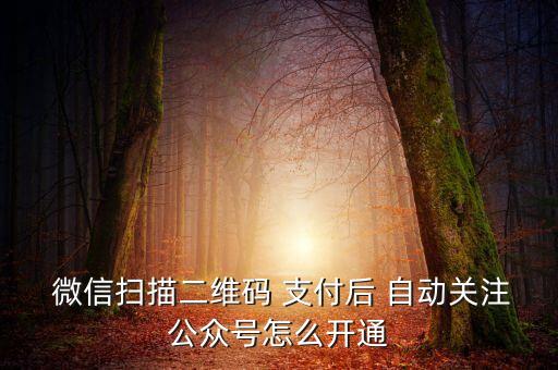 微信掃碼自動支付平臺,微信支付是騰訊集團支付平臺旗下第三方