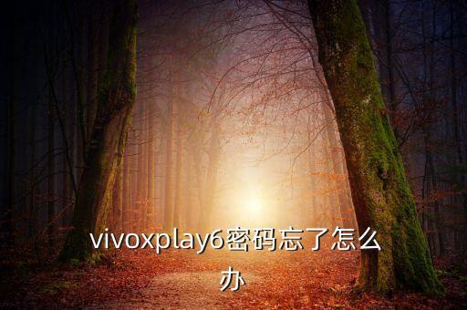 vivoxplay6自動(dòng)重啟,黑屏狀態(tài)下如何恢復(fù)正常使用?