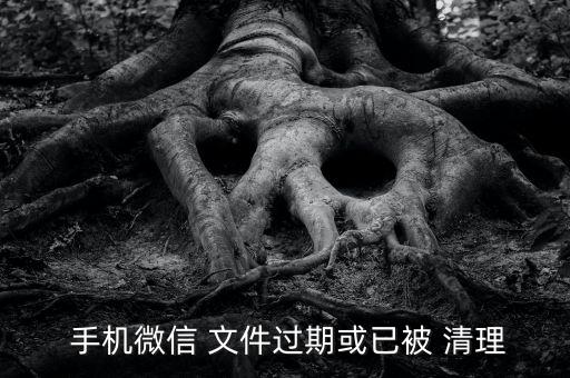  手機微信 文件過期或已被 清理