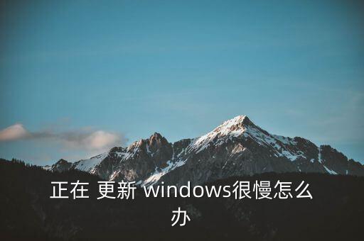 windows自動更新速度慢,從不檢查更新系統(tǒng)如何做到?