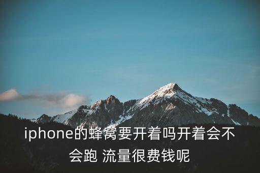 iphone6s自動開流量嗎,蘋果手機怎么用wifi上網(wǎng)?
