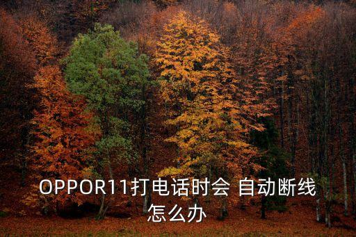oppor11會(huì)自動(dòng)斷電,手機(jī)頻繁斷線?可重新插拔sim卡