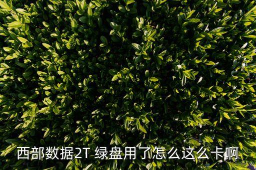 綠盤 自動(dòng)停轉(zhuǎn),如果不是倉庫托盤千萬不要用硬盤