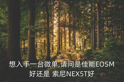 想入手一臺微單,請問是佳能EOSM好還是 索尼NEX5T好