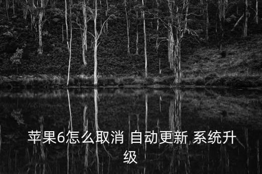 蘋果6自動(dòng)下載系統(tǒng),蘋果系統(tǒng)如何自動(dòng)update?