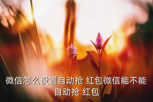 微信怎么設(shè)置自動(dòng)搶 紅包微信能不能自動(dòng)搶 紅包