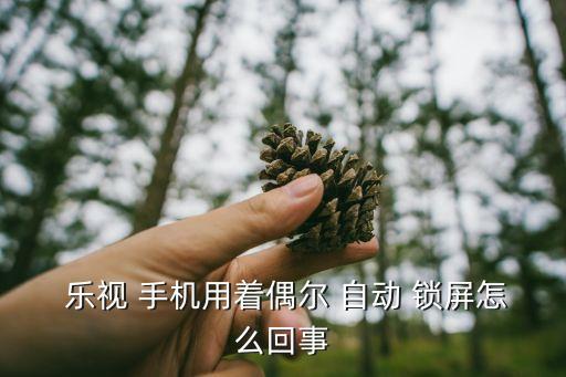 樂視手機自動鎖屏亮度,手機屏幕亮度自動調(diào)整功能需注意什么?