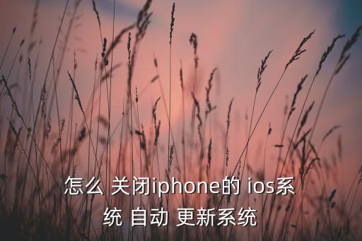 怎么 關(guān)閉iphone的 ios系統(tǒng) 自動 更新系統(tǒng)