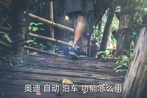 自動泊車功能都包括什么,自動泊車系統(tǒng)功能介紹