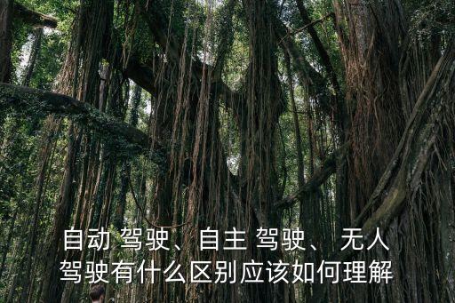  自動(dòng) 駕駛、自主 駕駛、 無人 駕駛有什么區(qū)別應(yīng)該如何理解