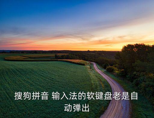  搜狗拼音 輸入法的軟鍵盤老是自 動彈出
