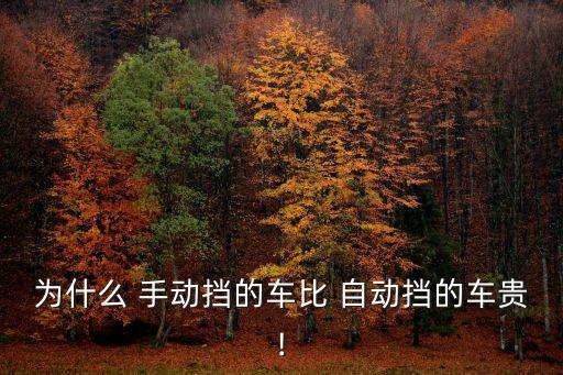 為什么 手動擋的車比 自動擋的車貴!