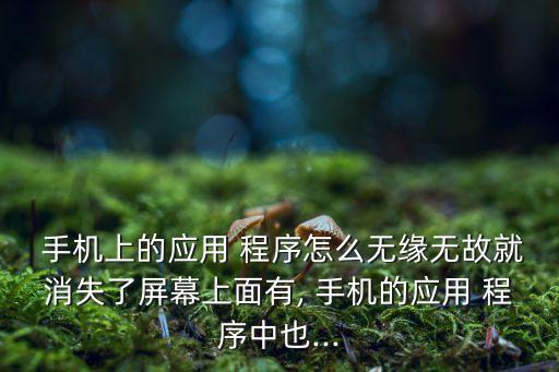 手機程序自動丟失,手機自帶程序丟失手機應(yīng)用管理中找不到
