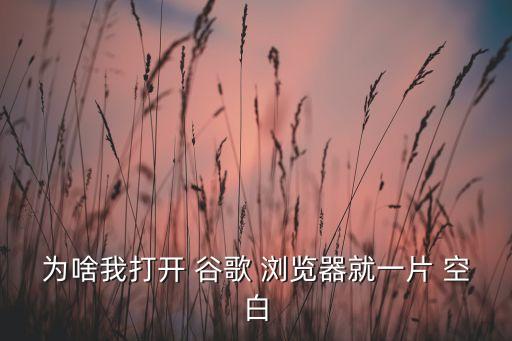 為啥我打開(kāi) 谷歌 瀏覽器就一片 空白
