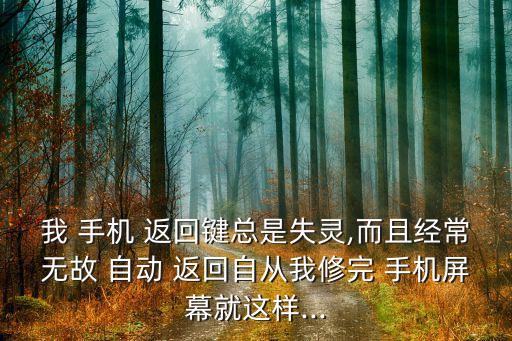 手機(jī)屏爛了會(huì)自動(dòng)返回,如何檢查手機(jī)是否開(kāi)啟免打擾模式?