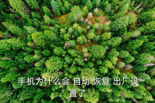  手機為什么會 自動 恢復(fù) 出廠設(shè)置了