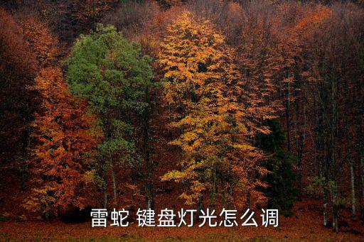 雷蛇鍵盤背光自動變了,雷蛇游戲裝備品牌擁有上億注冊用戶