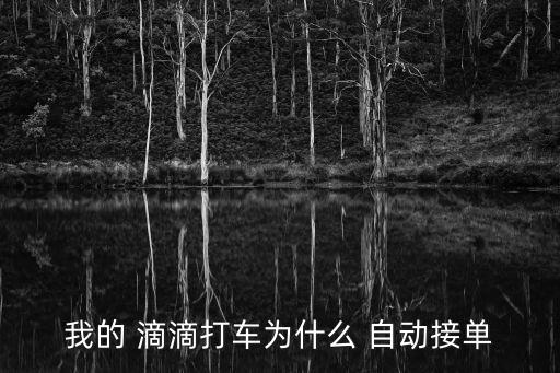 美團(tuán)滴滴自動收車軟件,滴滴快車搶單攻略!