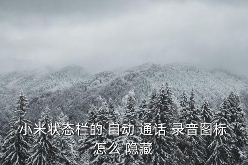 小米狀態(tài)欄的 自動(dòng) 通話 錄音圖標(biāo)怎么 隱藏