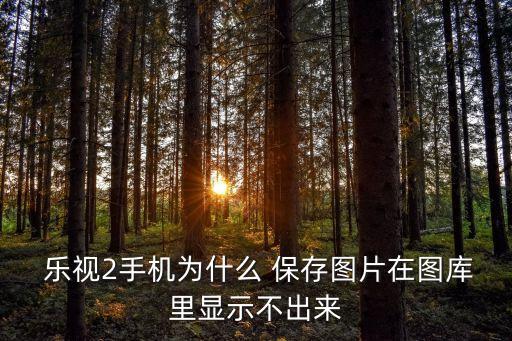 樂視2禁止自動(dòng)保存圖片,手機(jī)出現(xiàn)病例如何恢復(fù)出廠設(shè)置?
