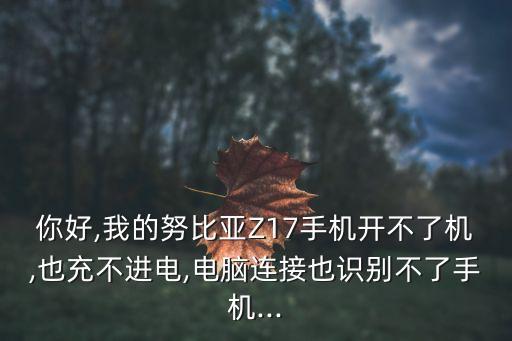 nubia z17自動開關機,努比亞手機不開機怎么辦?