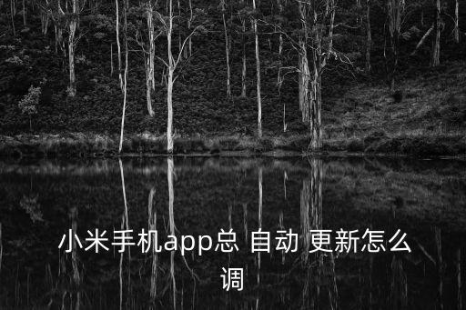  小米手機app總 自動 更新怎么調(diào)